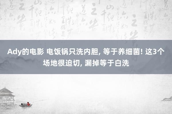 Ady的电影 电饭锅只洗内胆， 等于养细菌! 这3个场地很迫切， 漏掉等于白洗