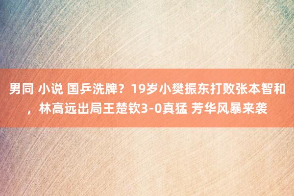 男同 小说 国乒洗牌？19岁小樊振东打败张本智和，林高远出局王楚钦3-0真猛 芳华风暴来袭