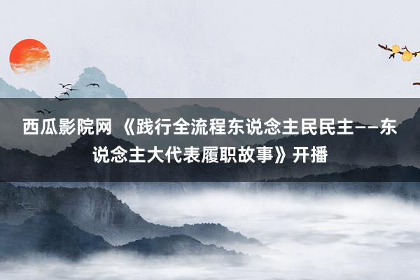 西瓜影院网 《践行全流程东说念主民民主——东说念主大代表履职故事》开播