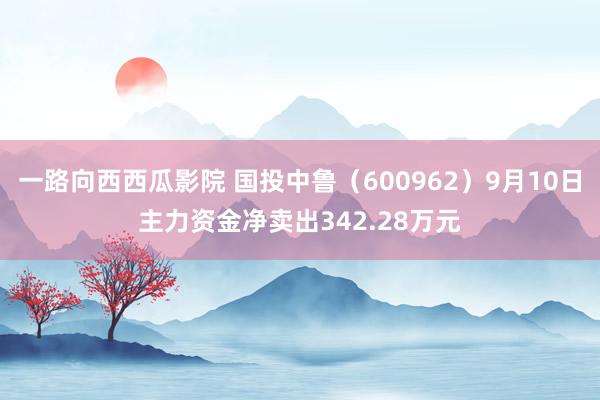 一路向西西瓜影院 国投中鲁（600962）9月10日主力资金净卖出342.28万元