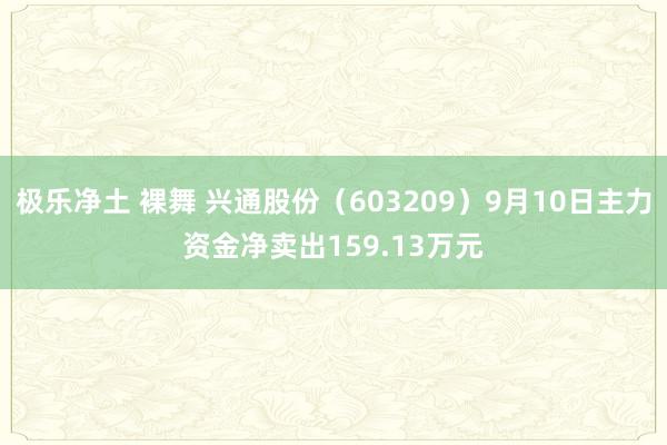 极乐净土 裸舞 兴通股份（603209）9月10日主力资金净卖出159.13万元