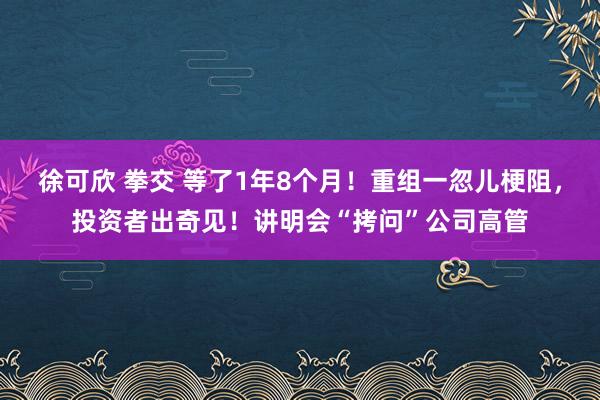 徐可欣 拳交 等了1年8个月！重组一忽儿梗阻，投资者出奇见！讲明会“拷问”公司高管