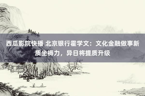 西瓜影院快播 北京银行霍学文：文化金融做事新质坐褥力，异日将提质升级