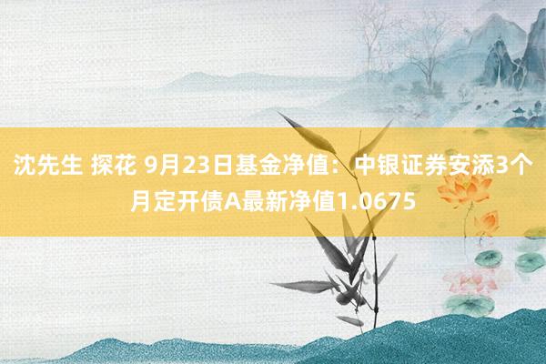 沈先生 探花 9月23日基金净值：中银证券安添3个月定开债A最新净值1.0675