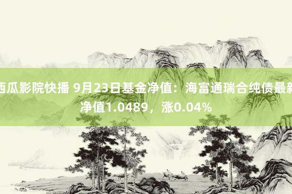 西瓜影院快播 9月23日基金净值：海富通瑞合纯债最新净值1.0489，涨0.04%