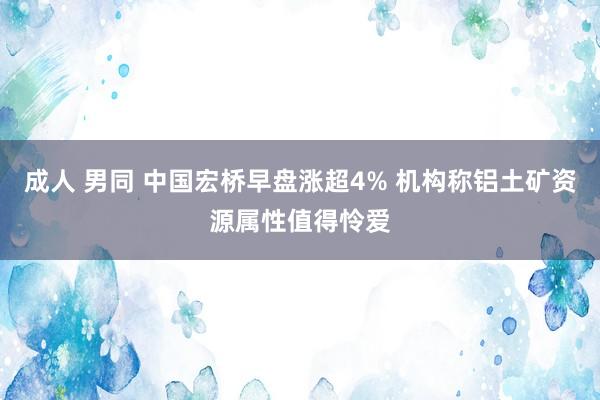 成人 男同 中国宏桥早盘涨超4% 机构称铝土矿资源属性值得怜爱