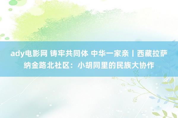 ady电影网 铸牢共同体 中华一家亲丨西藏拉萨纳金路北社区：小胡同里的民族大协作