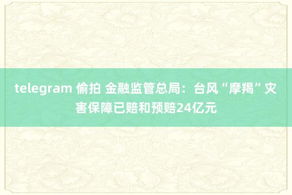 telegram 偷拍 金融监管总局：台风“摩羯”灾害保障已赔和预赔24亿元