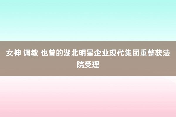 女神 调教 也曾的湖北明星企业现代集团重整获法院受理