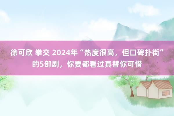 徐可欣 拳交 2024年“热度很高，但口碑扑街”的5部剧，你要都看过真替你可惜