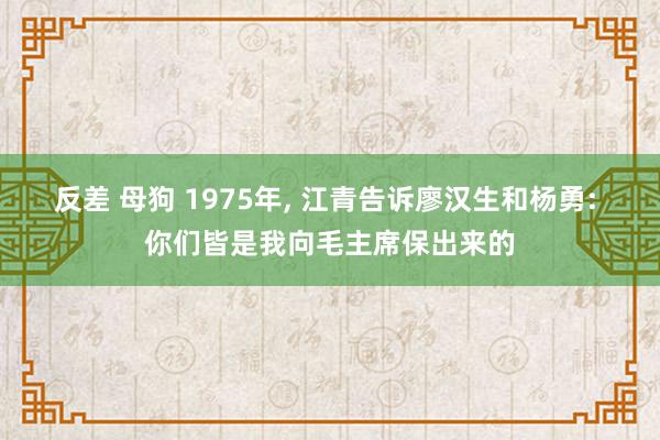 反差 母狗 1975年， 江青告诉廖汉生和杨勇: 你们皆是我向毛主席保出来的