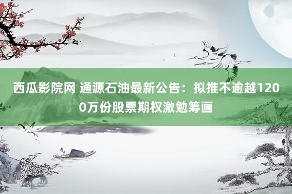 西瓜影院网 通源石油最新公告：拟推不逾越1200万份股票期权激勉筹画