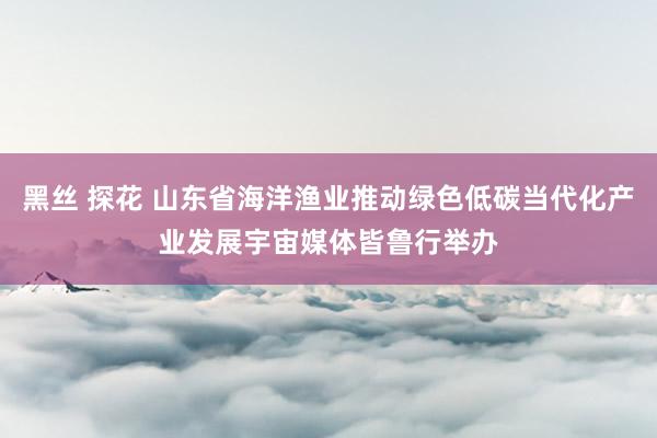 黑丝 探花 山东省海洋渔业推动绿色低碳当代化产业发展宇宙媒体皆鲁行举办