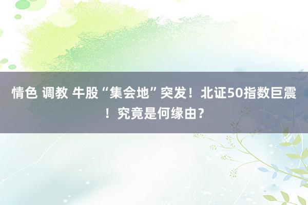 情色 调教 牛股“集会地”突发！北证50指数巨震！究竟是何缘由？