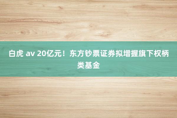 白虎 av 20亿元！东方钞票证券拟增握旗下权柄类基金