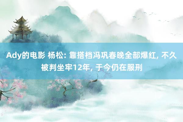 Ady的电影 杨松: 靠搭档冯巩春晚全部爆红， 不久被判坐牢12年， 于今仍在服刑