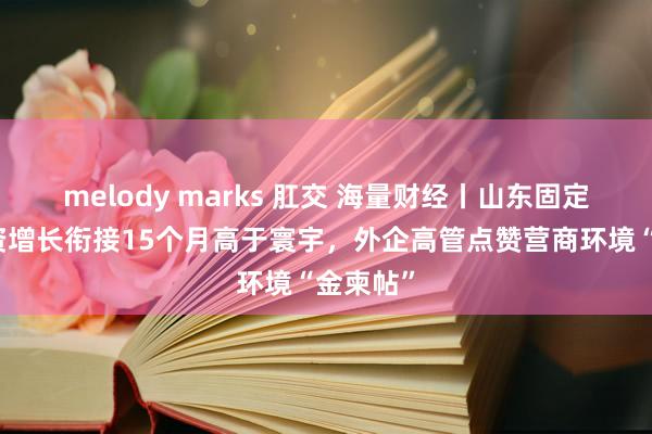 melody marks 肛交 海量财经丨山东固定财富投资增长衔接15个月高于寰宇，外企高管点赞营商环境“金柬帖”