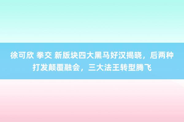 徐可欣 拳交 新版块四大黑马好汉揭晓，后两种打发颠覆融会，三大法王转型腾飞