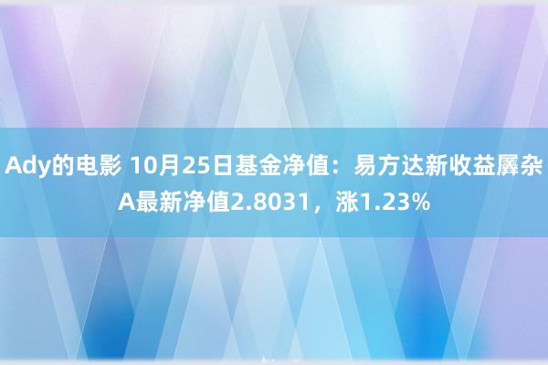 Ady的电影 10月25日基金净值：易方达新收益羼杂A最新净值2.8031，涨1.23%