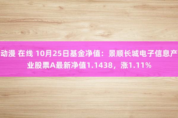 动漫 在线 10月25日基金净值：景顺长城电子信息产业股票A最新净值1.1438，涨1.11%