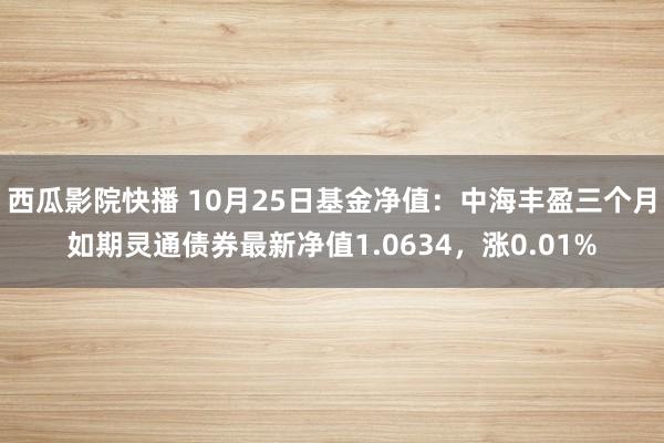 西瓜影院快播 10月25日基金净值：中海丰盈三个月如期灵通债券最新净值1.0634，涨0.01%