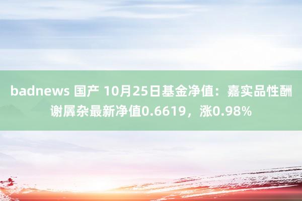 badnews 国产 10月25日基金净值：嘉实品性酬谢羼杂最新净值0.6619，涨0.98%