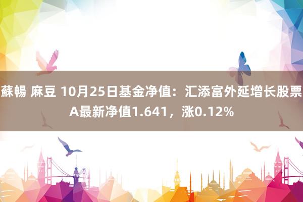 蘇暢 麻豆 10月25日基金净值：汇添富外延增长股票A最新净值1.641，涨0.12%