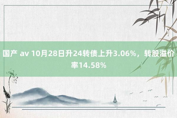 国产 av 10月28日升24转债上升3.06%，转股溢价率14.58%