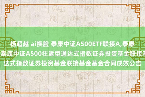 杨超越 ai换脸 泰康中证A500ETF联接A，泰康中证A500ETF联接C: 泰康中证A500往返型通达式指数证券投资基金联接基金基金合同成效公告