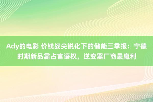 Ady的电影 价钱战尖锐化下的储能三季报：宁德时期新品霸占言语权，逆变器厂商最赢利