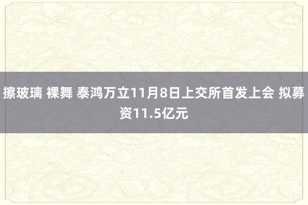 擦玻璃 裸舞 泰鸿万立11月8日上交所首发上会 拟募资11.5亿元