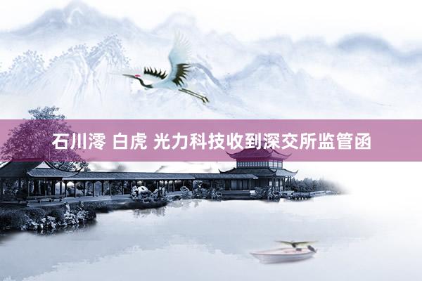 石川澪 白虎 光力科技收到深交所监管函