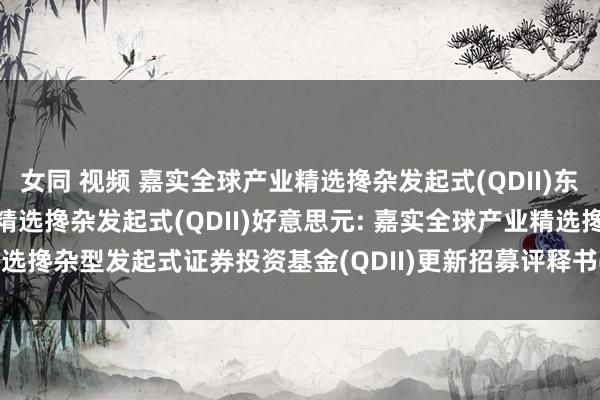 女同 视频 嘉实全球产业精选搀杂发起式(QDII)东说念主民币，嘉实全球产业精选搀杂发起式(QDII)好意思元: 嘉实全球产业精选搀杂型发起式证券投资基金(QDII)更新招募评释书(2024年11月01日更新)