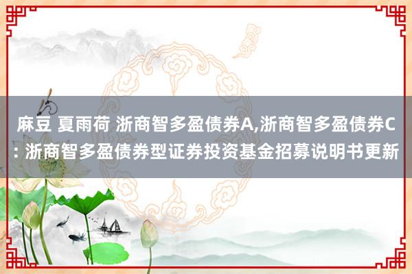 麻豆 夏雨荷 浙商智多盈债券A，浙商智多盈债券C: 浙商智多盈债券型证券投资基金招募说明书更新