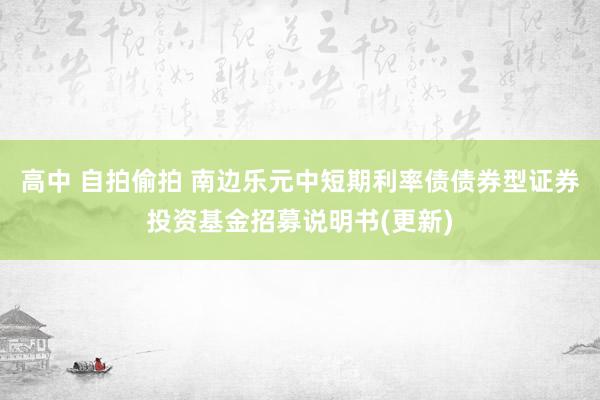 高中 自拍偷拍 南边乐元中短期利率债债券型证券投资基金招募说明书(更新)