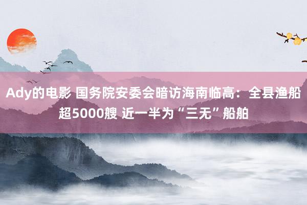 Ady的电影 国务院安委会暗访海南临高：全县渔船超5000艘 近一半为“三无”船舶