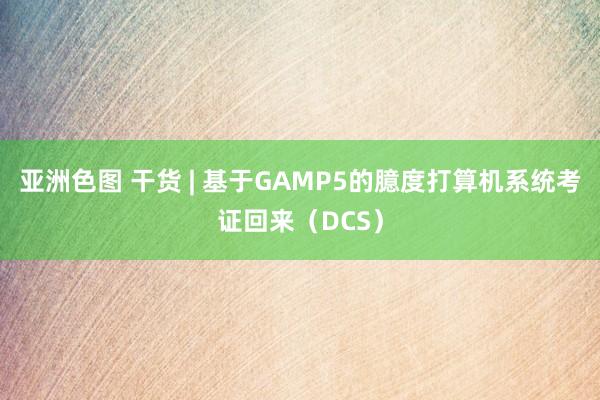 亚洲色图 干货 | 基于GAMP5的臆度打算机系统考证回来（DCS）