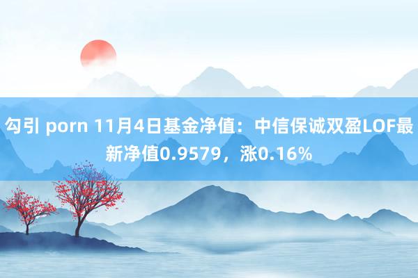 勾引 porn 11月4日基金净值：中信保诚双盈LOF最新净值0.9579，涨0.16%