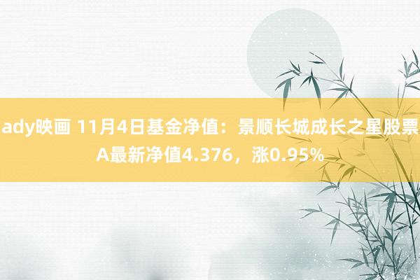 ady映画 11月4日基金净值：景顺长城成长之星股票A最新净值4.376，涨0.95%