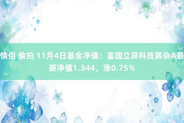 情侣 偷拍 11月4日基金净值：富国立异科技羼杂A最新净值1.344，涨0.75%