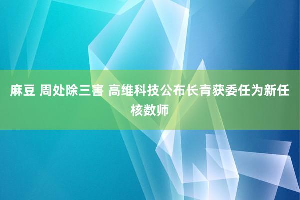 麻豆 周处除三害 高维科技公布长青获委任为新任核数师