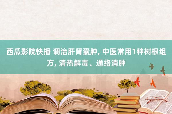 西瓜影院快播 调治肝肾囊肿， 中医常用1种树根组方， 清热解毒、通络消肿