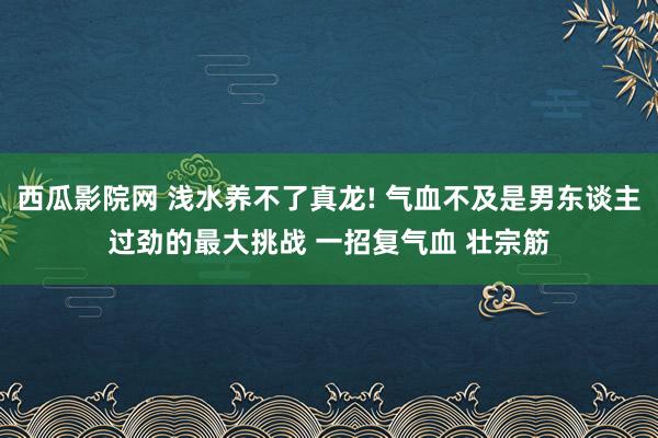 西瓜影院网 浅水养不了真龙! 气血不及是男东谈主过劲的最大挑战 一招复气血 壮宗筋