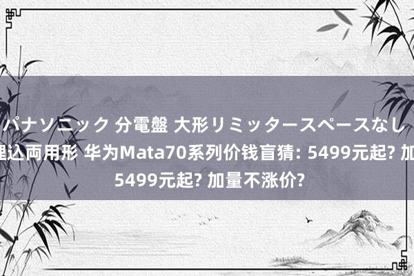 パナソニック 分電盤 大形リミッタースペースなし 露出・半埋込両用形 华为Mata70系列价钱盲猜: 5499元起? 加量不涨价?