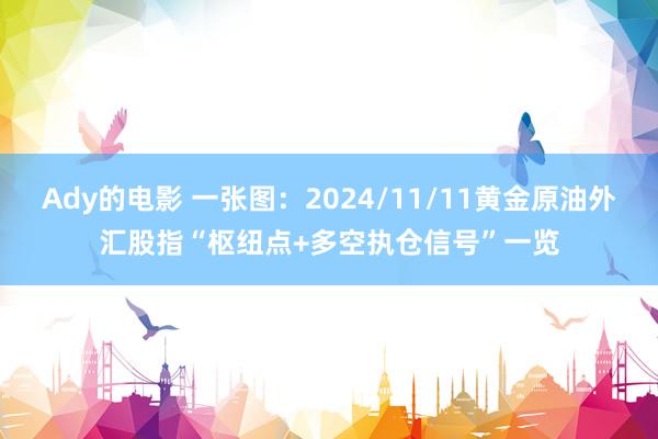 Ady的电影 一张图：2024/11/11黄金原油外汇股指“枢纽点+多空执仓信号”一览