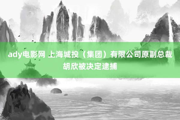 ady电影网 上海城投（集团）有限公司原副总裁胡欣被决定逮捕