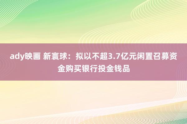 ady映画 新寰球：拟以不超3.7亿元闲置召募资金购买银行投金钱品