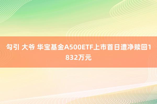 勾引 大爷 华宝基金A500ETF上市首日遭净赎回1832万元