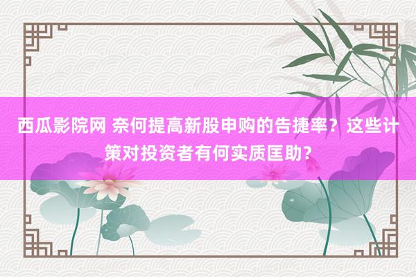 西瓜影院网 奈何提高新股申购的告捷率？这些计策对投资者有何实质匡助？