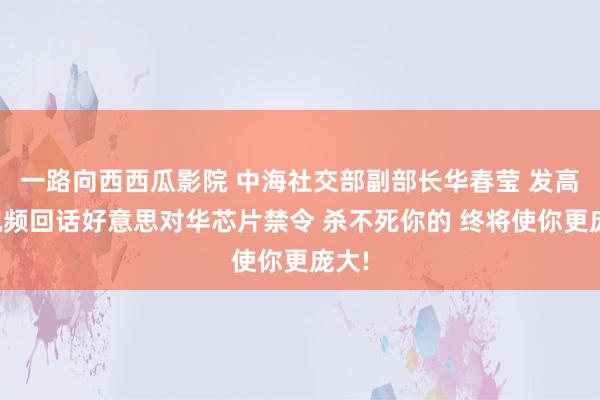 一路向西西瓜影院 中海社交部副部长华春莹 发高燃视频回话好意思对华芯片禁令 杀不死你的 终将使你更庞大!